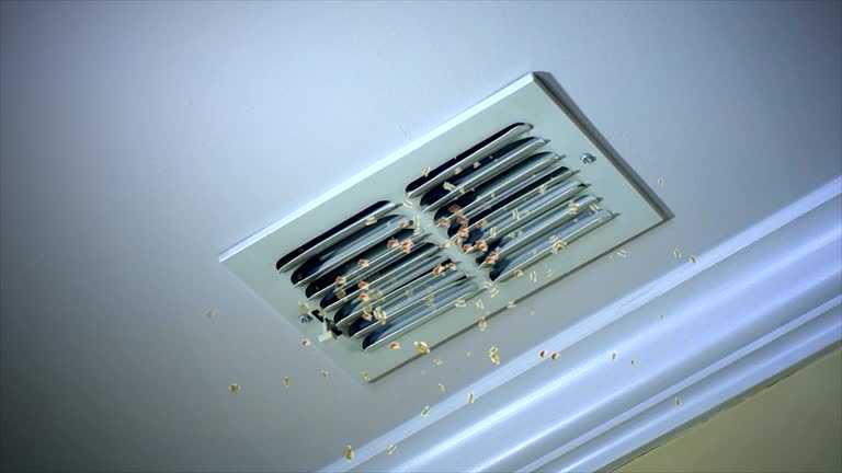 Best HVAC Duct Inspection Services  in Jackson, WI