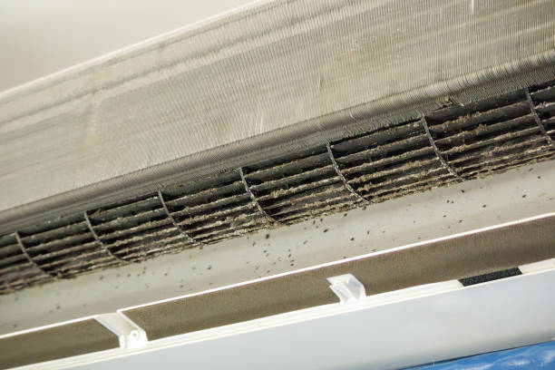 Best Emergency Air Duct Cleaning  in Jackson, WI
